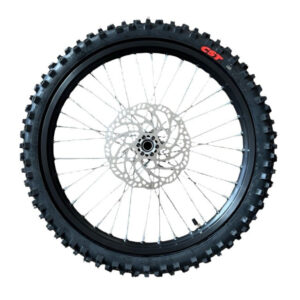 Light Bee 19" Front Wheel Assembly with Brake Disc, & Tire