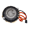 Ultra Bee Motor Assembly (2023-2024)