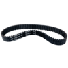 Ultra Bee Primary Belt (2024 - Gates)